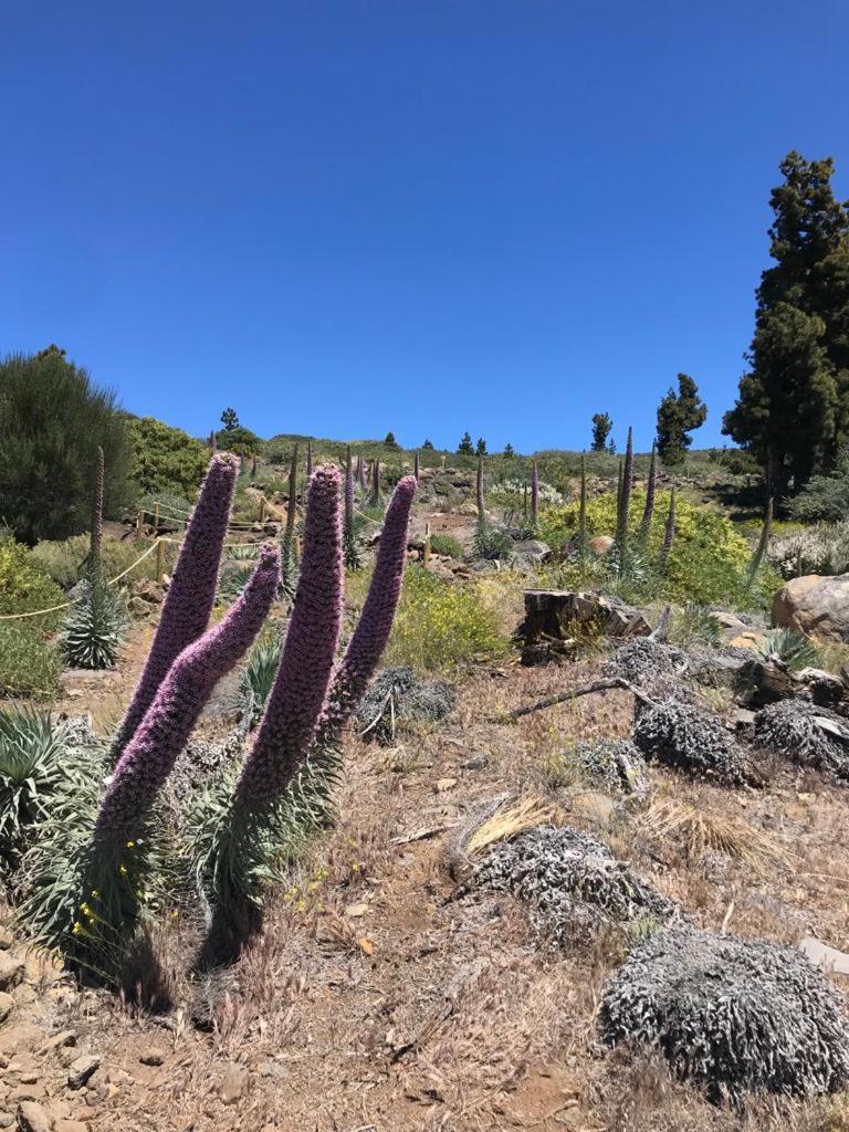 Finca Caboquitos Garafía Dış mekan fotoğraf