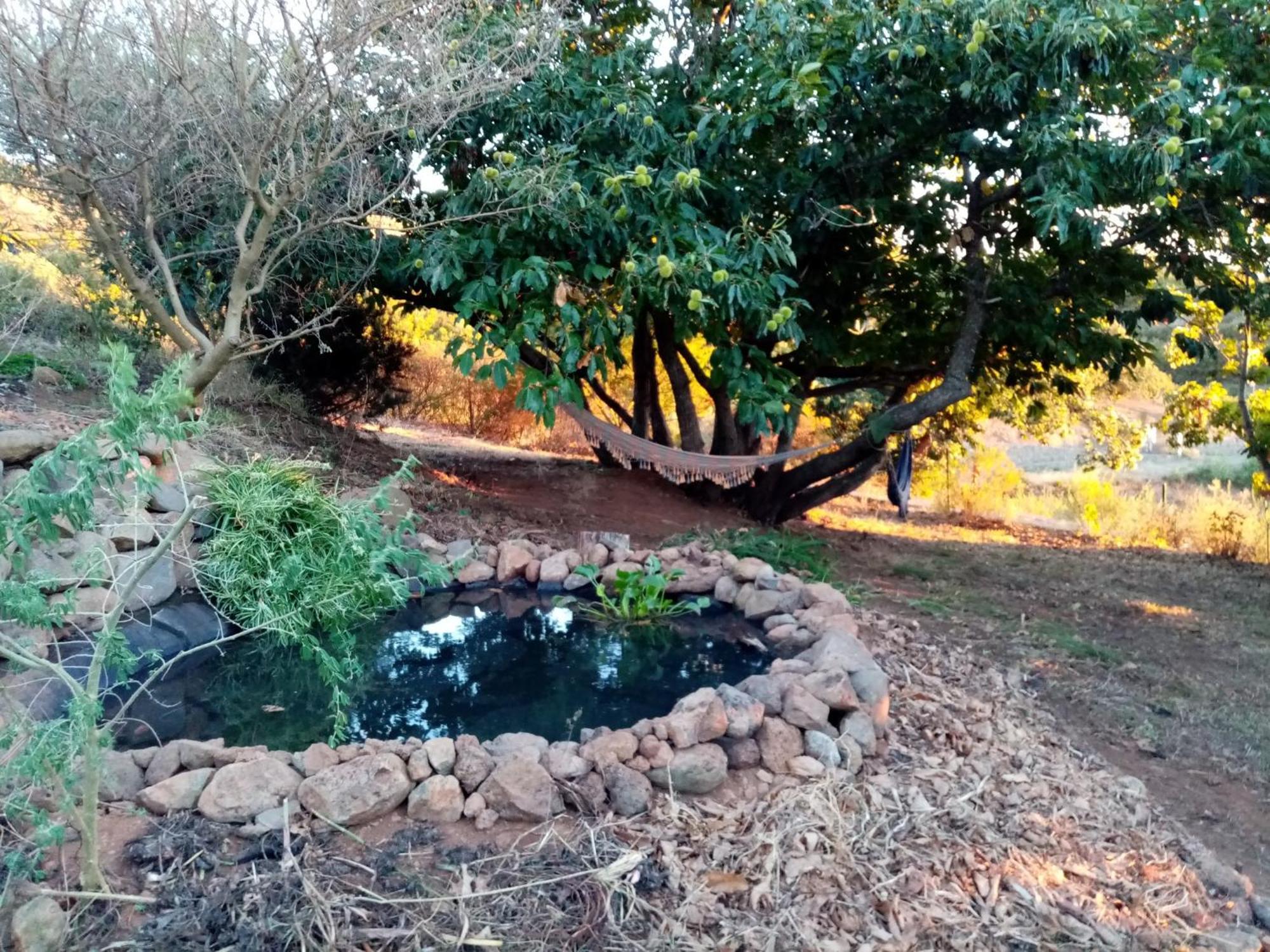 Finca Caboquitos Garafía Dış mekan fotoğraf